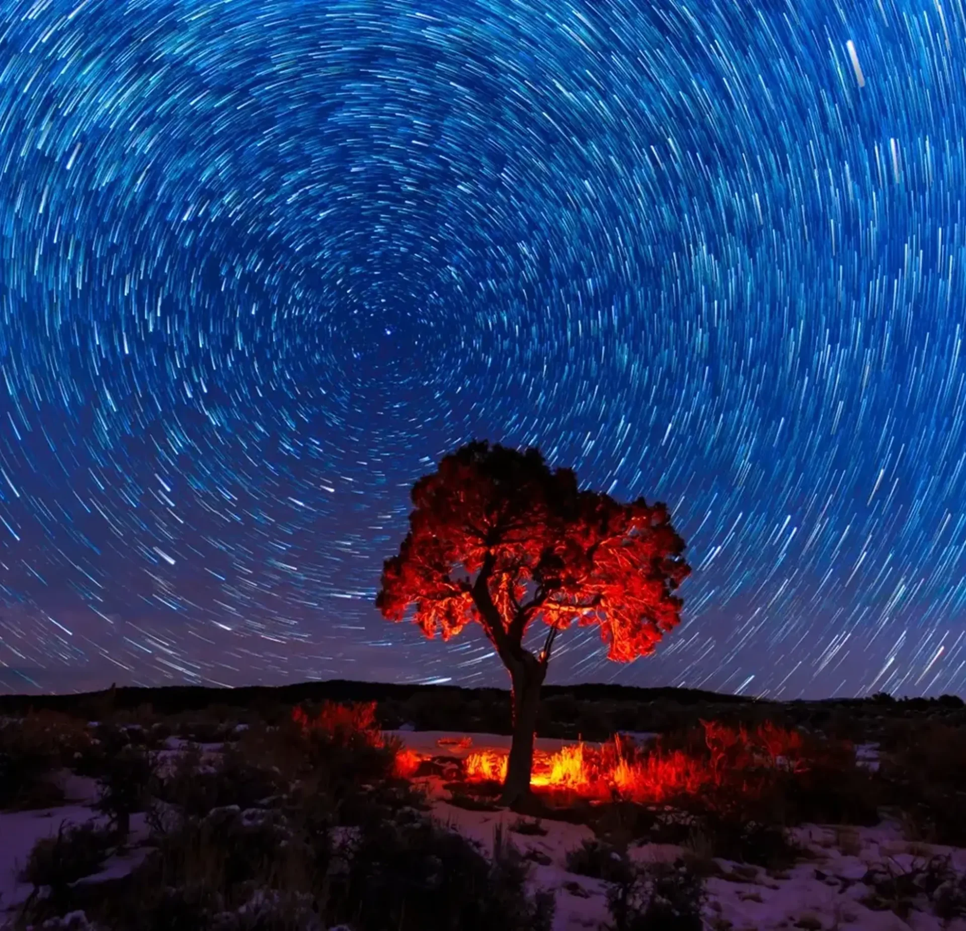 Tree under swirling starry night sky.